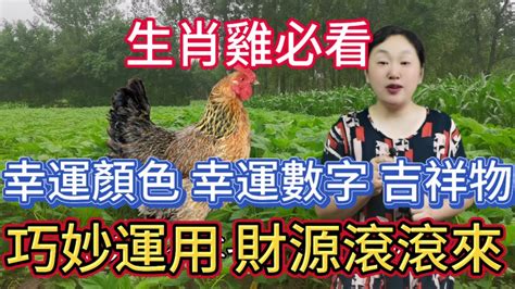 生肖雞顏色|屬雞必看：幸運色改變你命運